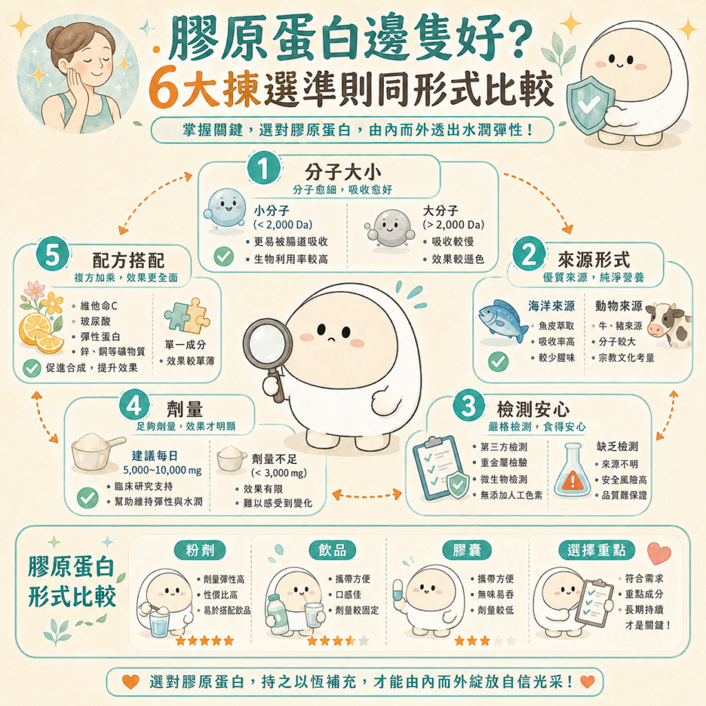 膠原蛋白邊隻好