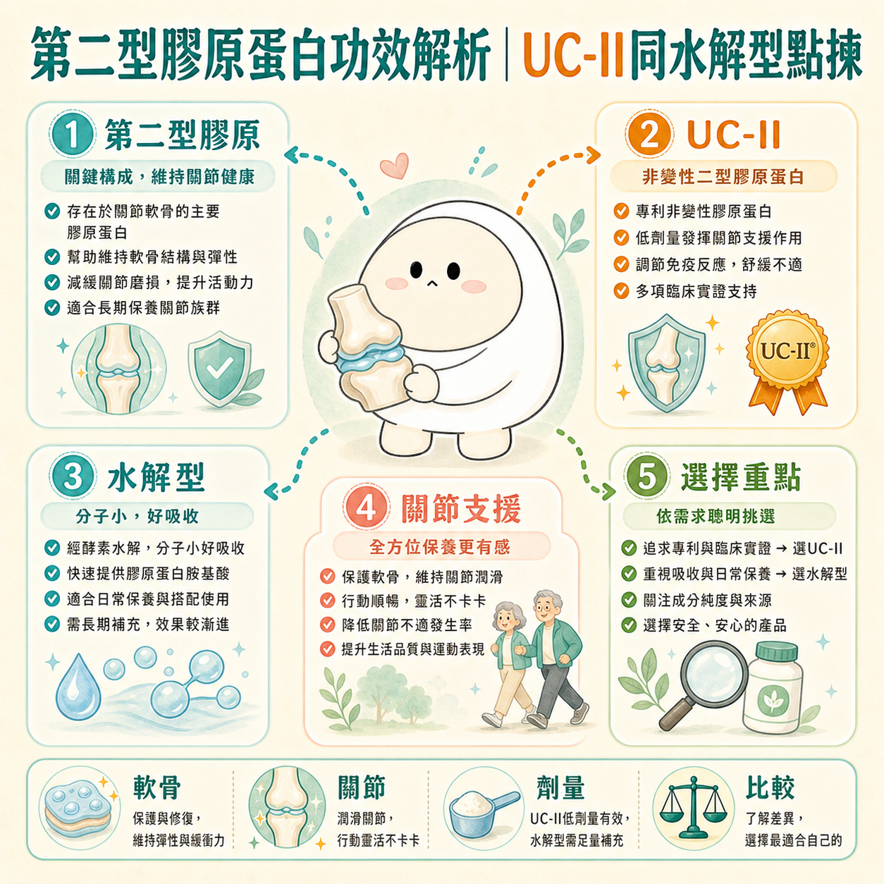 第二型膠原蛋白